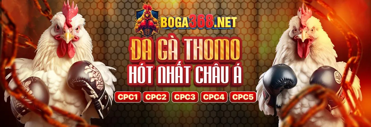 Đá gà trực tuyến jun882 link vào
