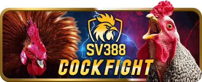 Chương trình VIP độc quyền JUN882